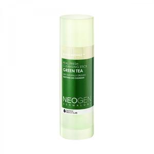 Real Fresh Cleansing Stick Green Tea Real Fresh Cleansing Stick Green Tea